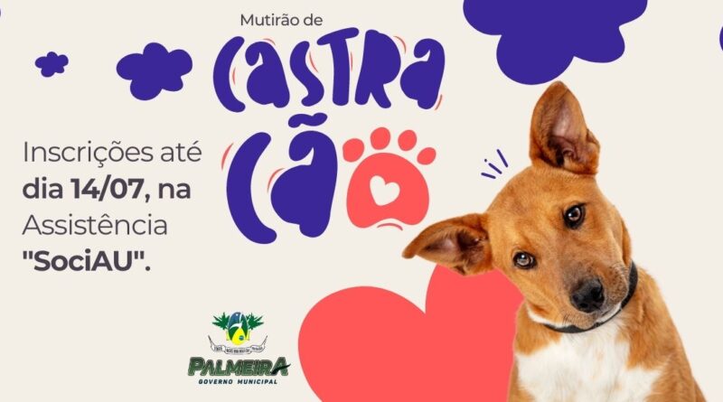 Castração de animais segue com inscrições abertas em Palmeira.