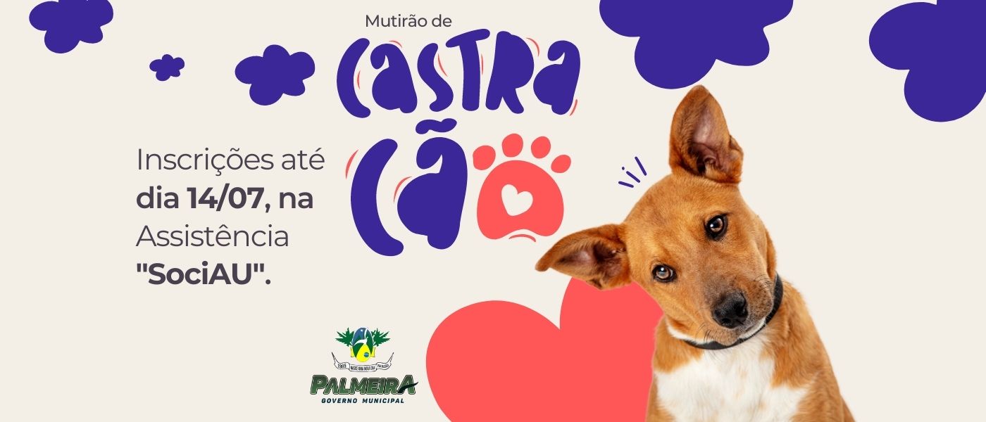 Castração de animais segue com inscrições abertas em Palmeira.